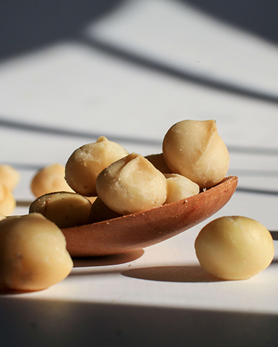 tb group landing sigep 2026 macadamia