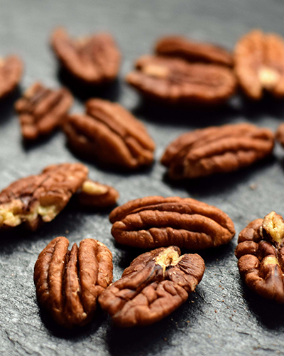 tb group landing sigep 2026 pecan