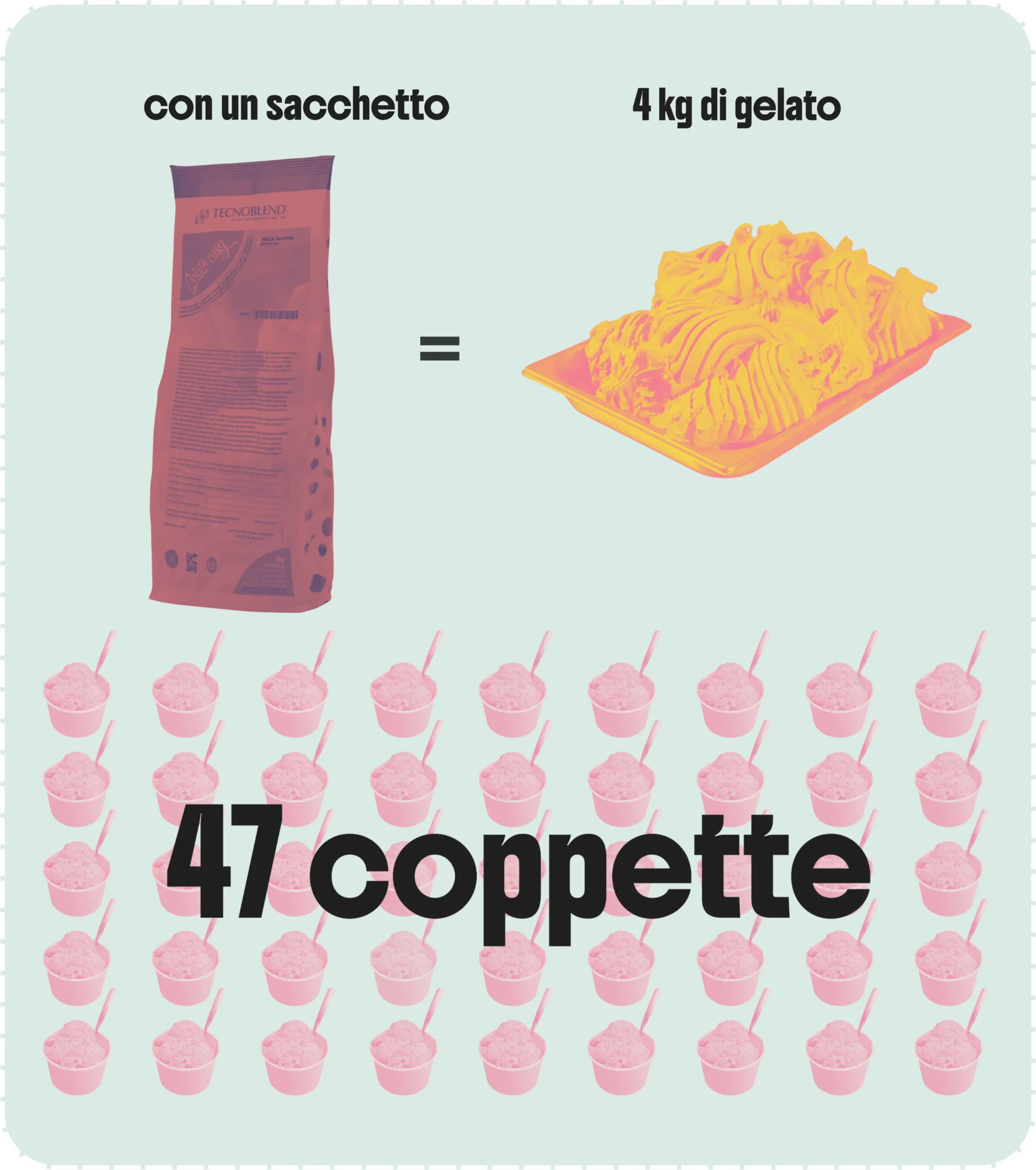 1 sacchetto 1 vaschetta 47 coppette scaled 1