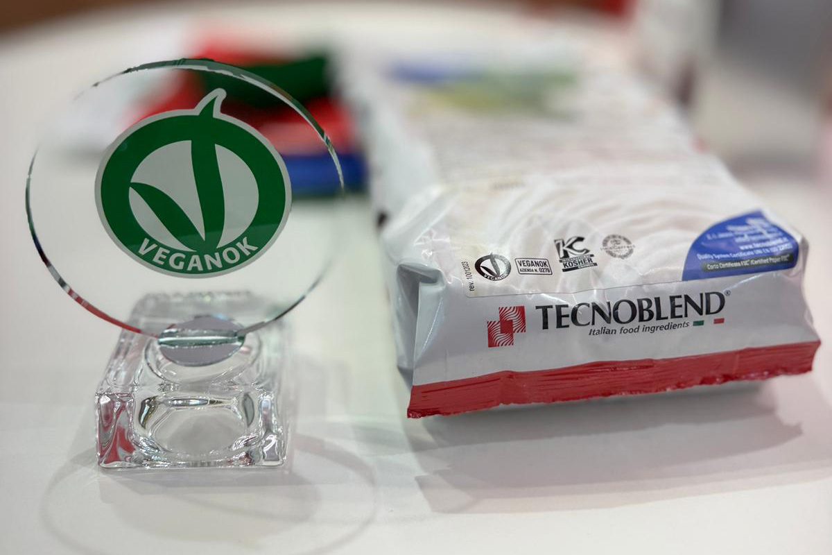 tecnoblend-vince-veganok